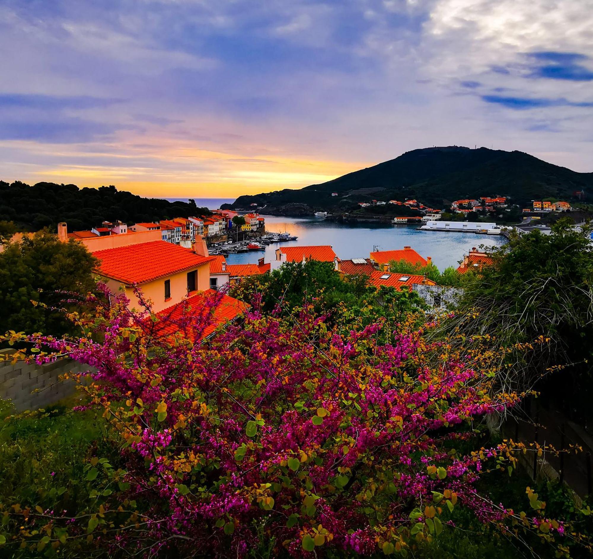 1Br Apartment T2 54M2 Onde Marine 2Nd Floor Lift Wifi Ac Parking Port Vendres Eksteriør bilde